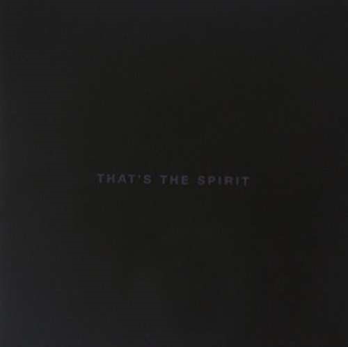 Bring Me The Horizon - That's the Spirit