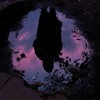 Picture of Slow Crush - Aurora CD