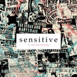 Various - Sensitive An Indie Pop Anthology