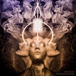 Mr.bison - Echoes From The Universe