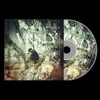 Picture of Vrsty - Levitate CD