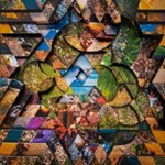 Miguel Atwood-ferguson - Les Jardins Mystiques Vol.1