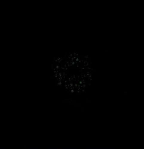 Dughpa - Ii