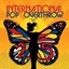 Various - International Pop Overthrow