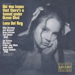 Lana Del Rey - Did You Know That There's A Tunnel