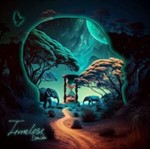 Davido - Timeless