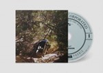 Ty Segall - Possession
