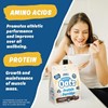 Picture of Applied Nutrition Critical Oats - Protein Porridge 600g Chocolate (VAT Free!)
