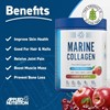 Picture of Applied Nutrition Marine Collagen - 300g Cherry Apple (VAT Free!)