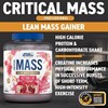 Picture of Applied Nutrition Critical Mass Pro - 2.4kg White Chocolate Raspberry