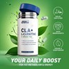 Picture of Applied Nutrition - CLA + L-Carnitine & Green Tea 100 Veg Caps