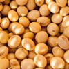 Picture of MyProtein MyVegan Impact Soy Protein - 2.5kg Chocolate Smooth