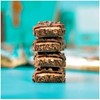 Picture of Grenade Protein Bar - 60g Chocolate Chip Salted Caramel