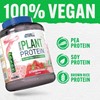 Picture of Applied Nutrition Critical Plant - 1.8kg Strawberry