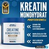 Picture of Applied Nutrition Creatine Monohydrate - 250g Unflavoured