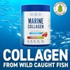 Picture of Applied Nutrition Marine Collagen - 300g Strawberry Lemonade (VAT Free!)