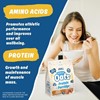 Picture of Applied Nutrition Critical Oats - Protein Porridge 600g Salted Caramel (VAT Free!)