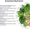 Picture of Applied Nutrition - Critical Greens 150g Lemon & Lime (VAT Free!)
