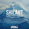Picture of Applied Nutrition - Shilajit 90 Caps