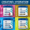 Picture of Applied Nutrition Creatine + Hydration - 330g Unflavoured
