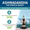 Picture of Applied Nutrition - Ashwaghanda 60 Caps