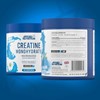 Picture of Applied Nutrition Creatine Monohydrate - 250g Icy Blue Razz