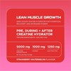 Picture of USN Creatine Hydrator - 330g Strawberry Watermelon