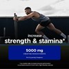 Picture of USN Creatine Monohydrate - 500g Tropical Thunder