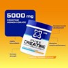Picture of USN Creatine Monohydrate - 500g Tropical Thunder