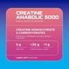 Picture of USN Creatine Anabolic 5000 - 900g Candy Pop