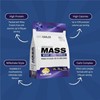 Picture of Outangled Method Mass - 6kg Tropical Banana