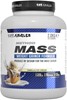 Outangled Method Mass - 2kg Vanilla Ice Cream