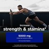 Picture of USN Creatine Monohydrate - 500g Red Fruit Punch