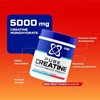 Picture of USN Creatine Monohydrate - 500g Red Fruit Punch