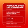 Picture of USN Creatine Monohydrate - 500g Red Fruit Punch