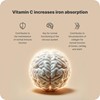 Picture of Vilgain - Iron + Vitamin C 90 Caps