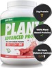 Picture of Per4m Plant Protein - 2kg Strawberry Cr me