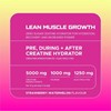 Picture of USN Creatine Hydrator - 330g Raspberry Lemonade