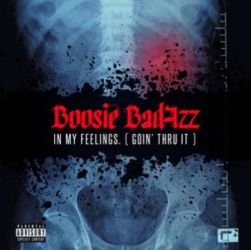 Boosie Badazz - In My Feelings: Goin Thru It