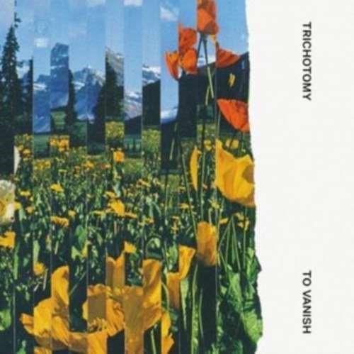 Trichotomy - To Vanish