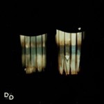 Divide And Dissolve - Insatiable