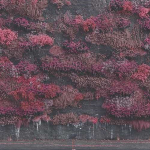 Sleep Token - Even in Arcadia
