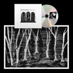 These New Puritans - Crooked Wing
