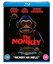 The Monkey [2025] - Theo James