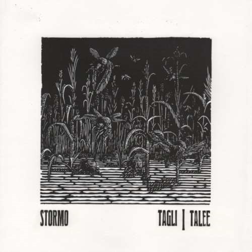 Stormo - Tagli/talee