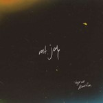 Mt. Joy - Hope We Have Fun