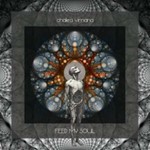 Chakra Vimana - Feed My Soul