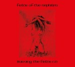 Fields Of The Nephilim - Burning The Fields