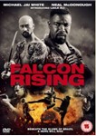 Falcon Rising - Michael Jai White