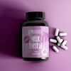 Picture of Warrior - Milk Thistle 90 Caps